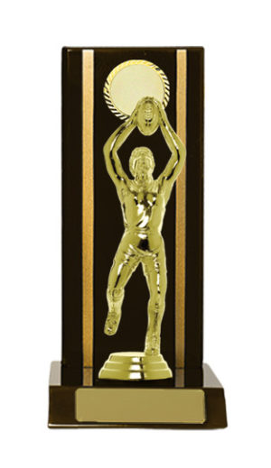 A24-2311DK : Timber Buildup Aussie Rules