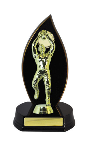 A24-2401DK : Timber Buildup Aussie Rules