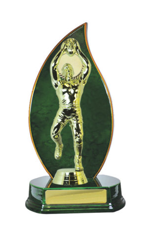 A24-2401GN : Timber Buildup Aussie Rules