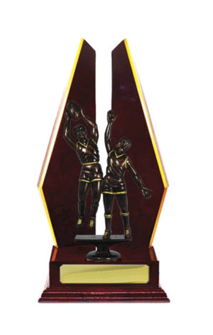 A24-2404CH : Timber Buildup Aussie Rules