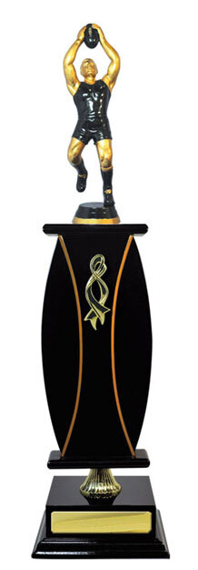 A24-2504 : Timber Buildup Aussie Rules