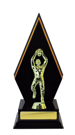 A24-2601 : Timber Buildup Aussie Rules