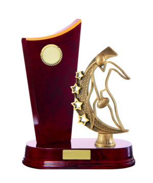 A24-2605CH : Timber Buildup Aussie Rules