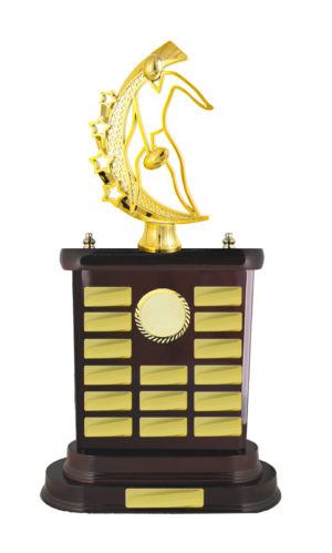 A24-2706DK : Timber Buildup Aussie Rules