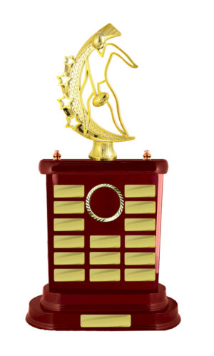 A24-2706WG : Timber Buildup Aussie Rules