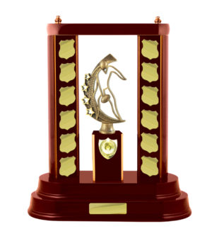 A24-2710WG : Timber Buildup Aussie Rules