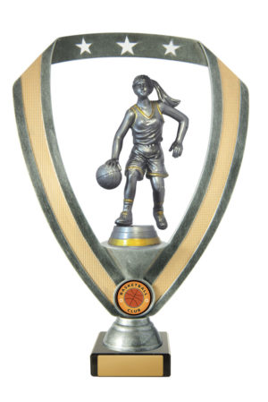 B24-1913 : Backstand/Base/Basketball M.