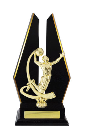 B24-2404DK : Timber Buildup Basketball