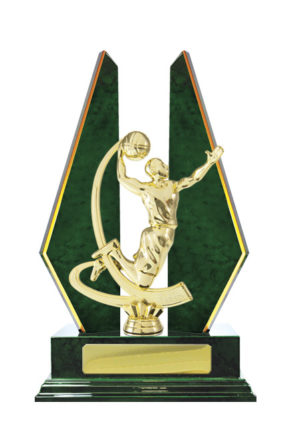 B24-2404GN : Timber Buildup Basketball