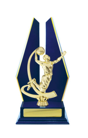 B24-2404RB : Timber Buildup Basketball