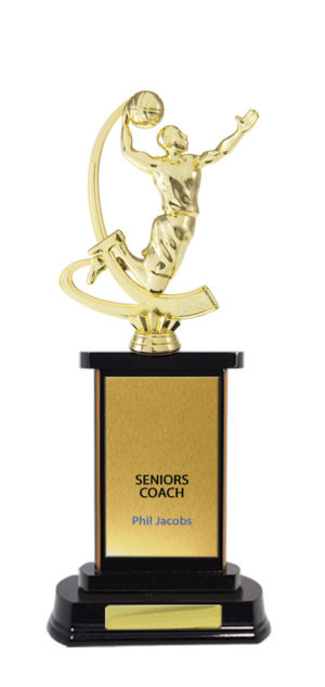 B24-2409DK : Timber Buildup Basketball