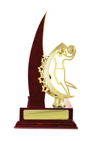 B24-2414CH : Timber Buildup Basketball