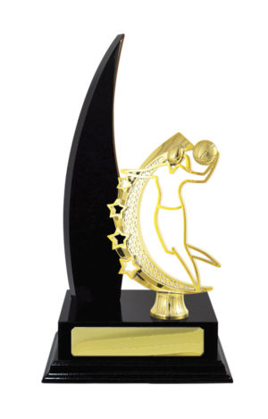 B24-2414DK : Timber Buildup Basketball