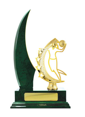 B24-2414GN : Timber Buildup Basketball