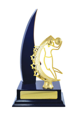 B24-2414RB : Timber Buildup Basketball