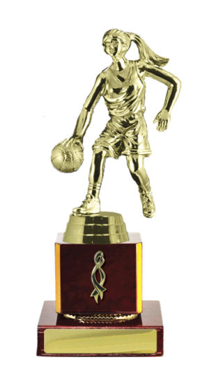 B24-2508CH : Timber Buildup Basketball