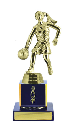 B24-2508RB : Timber Buildup Basketball