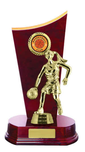 B24-2612CH : Timber Buildup Basketball