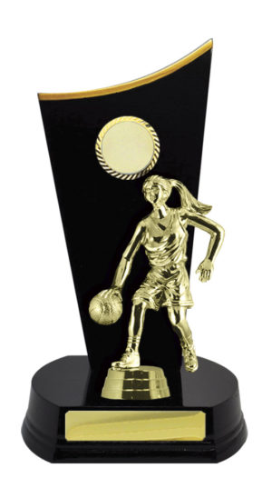 B24-2612DK : Timber Buildup Basketball