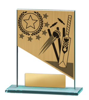 BG01A-PS1A : Cricket Theme on Glass