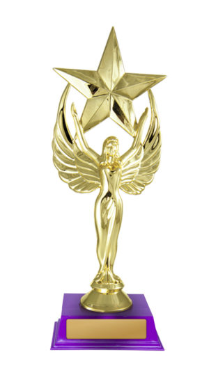 D24-5306 : Angel Star