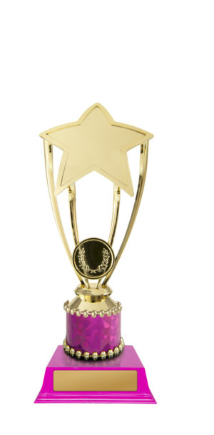 D24-5405 : Star Holder