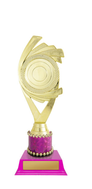 D24-5410 : Curved Holder