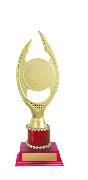 D24-5503 : Curved Holder