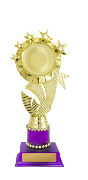 D24-5505 : Star Holder