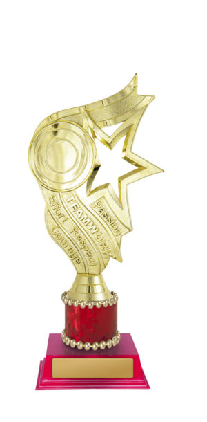 D24-5508 : Star Holder