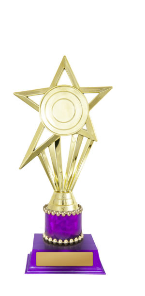 D24-5510 : Star Holder