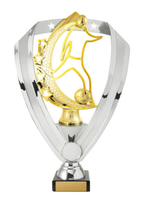 F24-2209 : Backstand/Base/Football Male