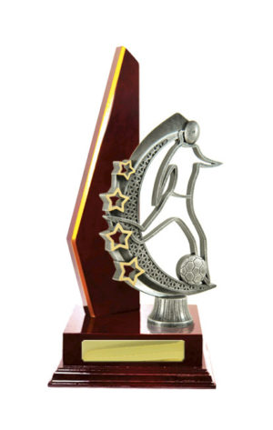 F24-3006CH : Timber Buildup Football