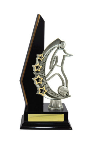 F24-3006DK : Timber Buildup Football