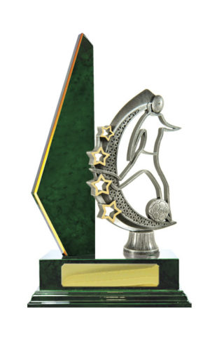 F24-3006GN : Timber Buildup Football