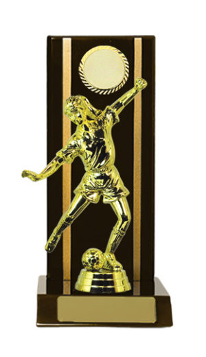 F24-3011DK : Timber Buildup Football Fem.