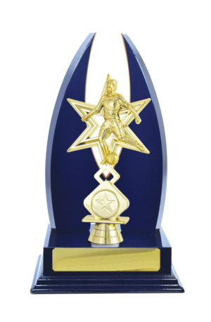 F24-3014RB : Timber Buildup Football Male