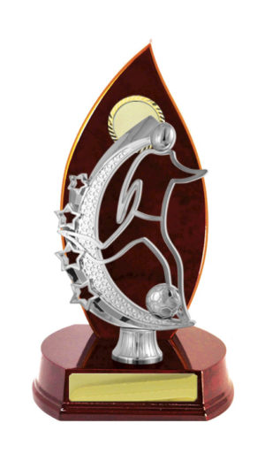 F24-3101CH : Timber Buildup Football Male