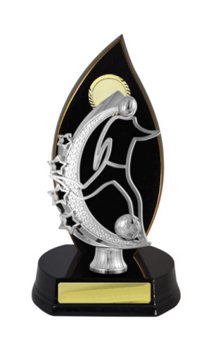 F24-3101DK : Timber Buildup Football Male