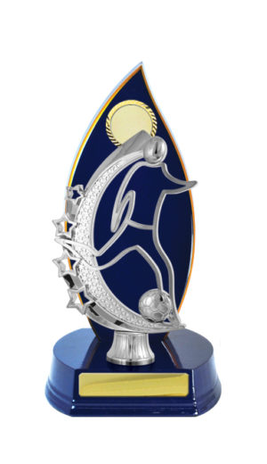 F24-3101RB : Timber Buildup Football Male