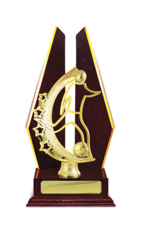 F24-3104CH : Timber Buildup Football Male