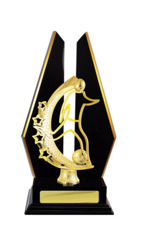 F24-3104DK : Timber Buildup Football Male