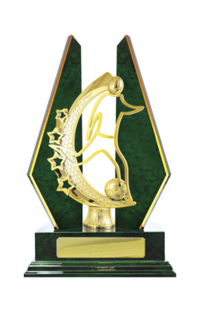 F24-3104GN : Timber Buildup Football Male