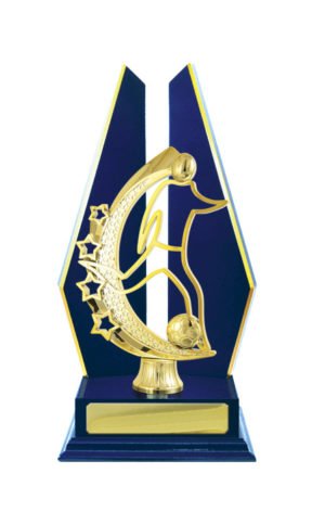 F24-3104RB : Timber Buildup Football Male