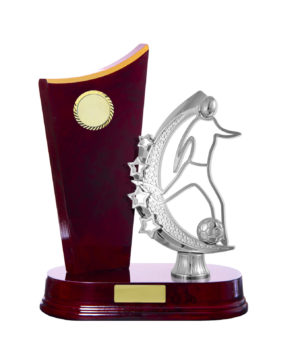 F24-3205CH : Timber Buildup Football Male