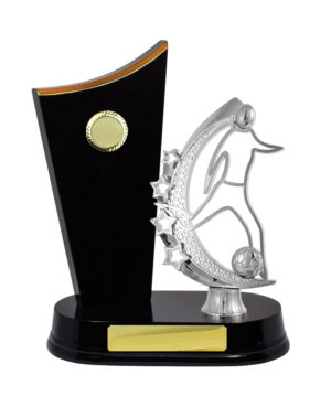 F24-3205DK : Timber Buildup Football Male