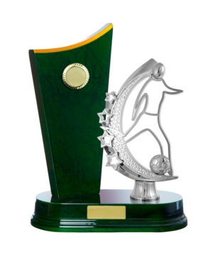 F24-3205GN : Timber Buildup Football Male