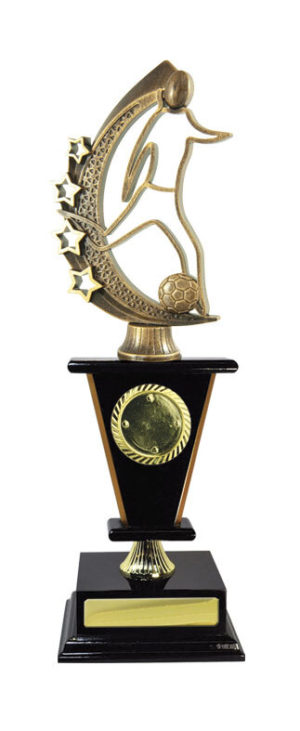 F24-3208 : Timber Buildup Football Fem.