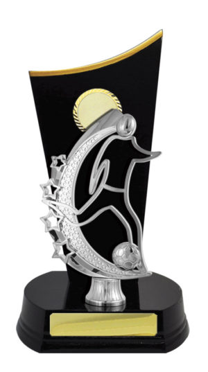 F24-3212DK : Timber Buildup Football Male