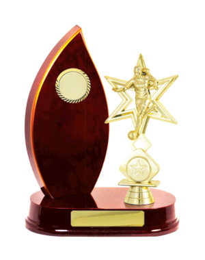 F24-3313CH : Timber Buildup Football Male